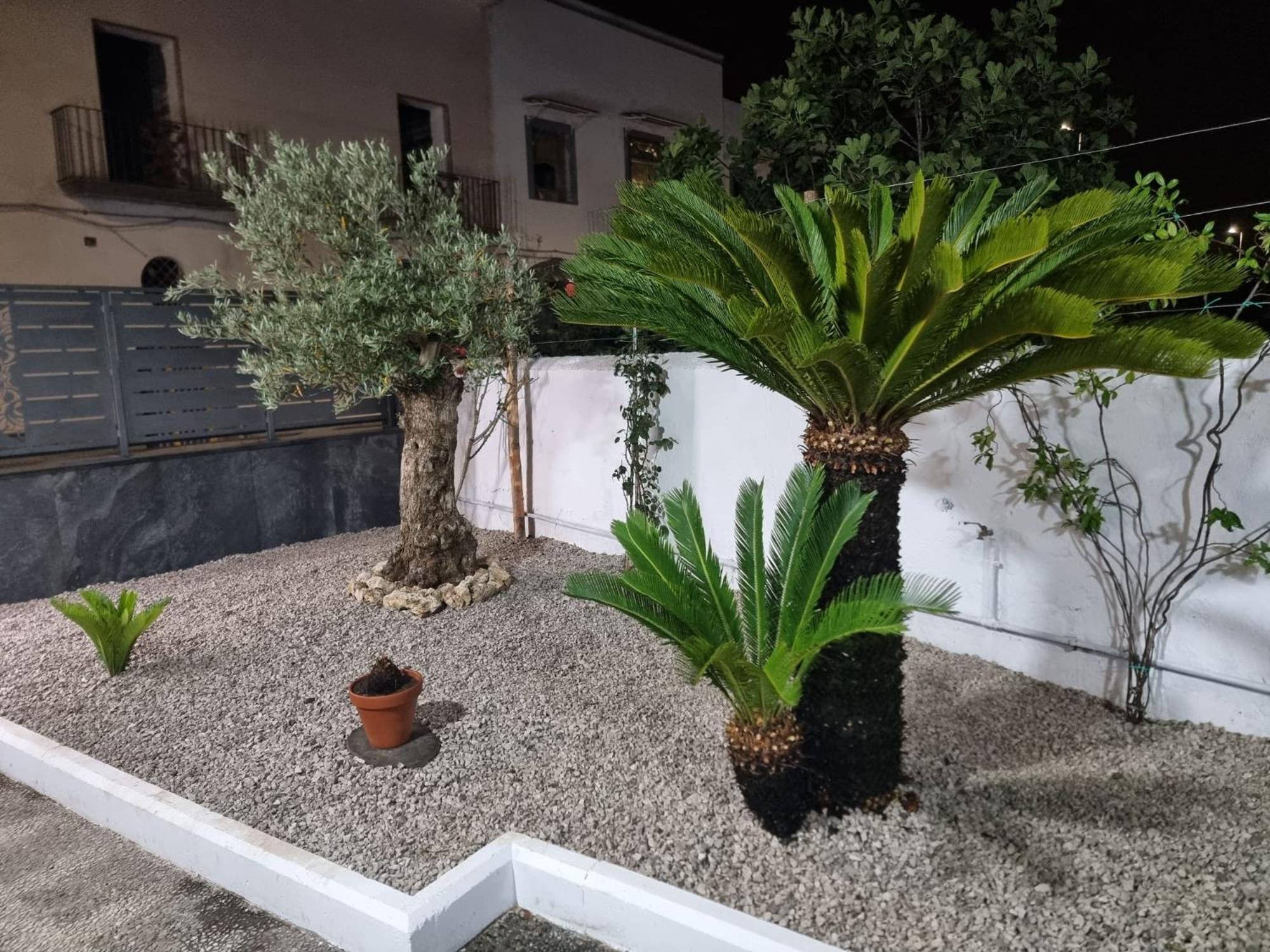 Apartment Leonida