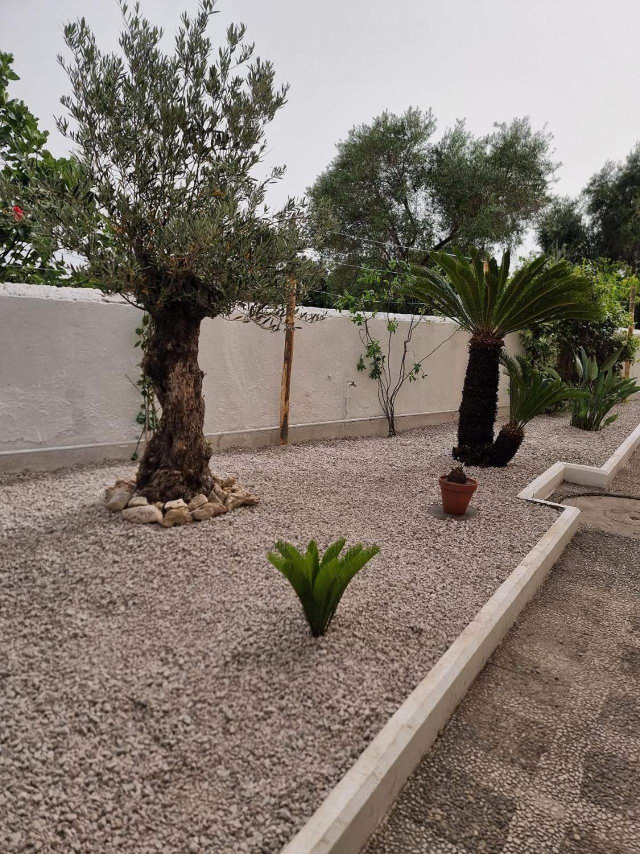 Apartment Leonida Boscotrecase